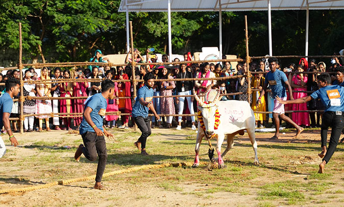 Pettai Kaali