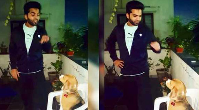 Simbu and Dog