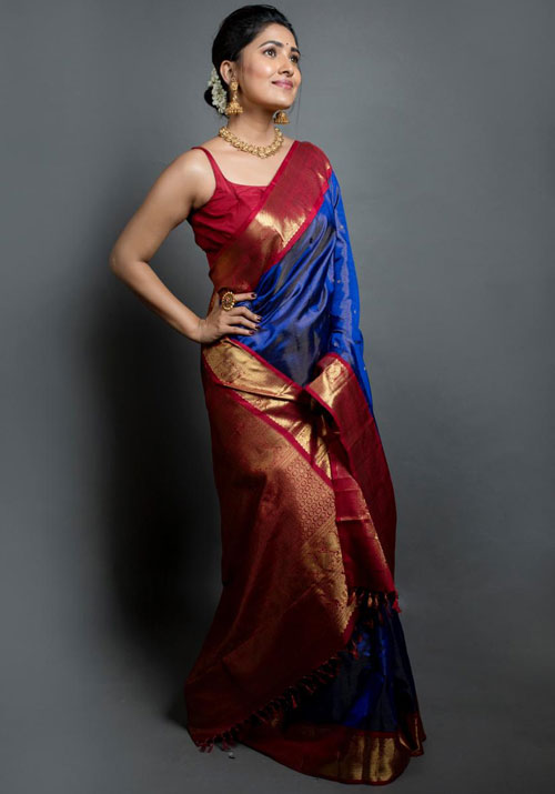 Vani Bhojan Actress